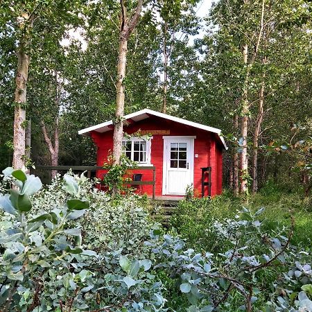 Bakkakot 3 Cozy Cabin In The Woods Akureyri Bagian luar foto