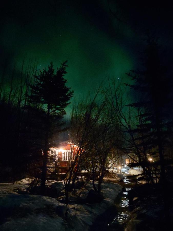 Bakkakot 3 Cozy Cabin In The Woods Akureyri Bagian luar foto